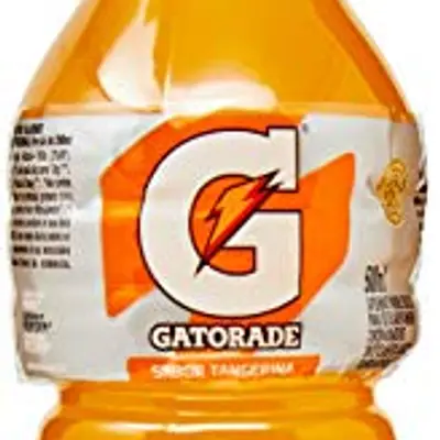 AMBEV GATORADE TANGERINA PET 500ML