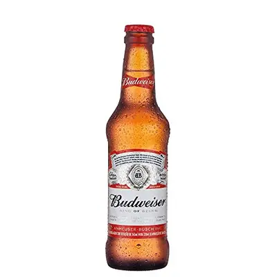 BUDWEISER CERVEJA 330ML